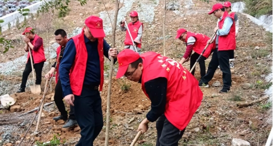 村企共建，共植先锋林